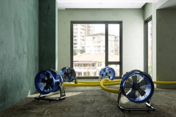 Best Local water damage restoration  in Mcconnellstown, PA